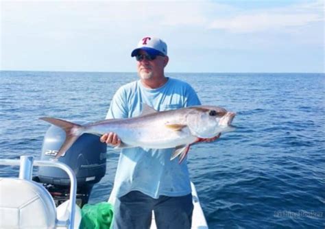 dauphin island fish species.